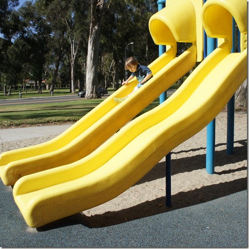 1-DSC07548