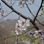 DSC_0217.JPG