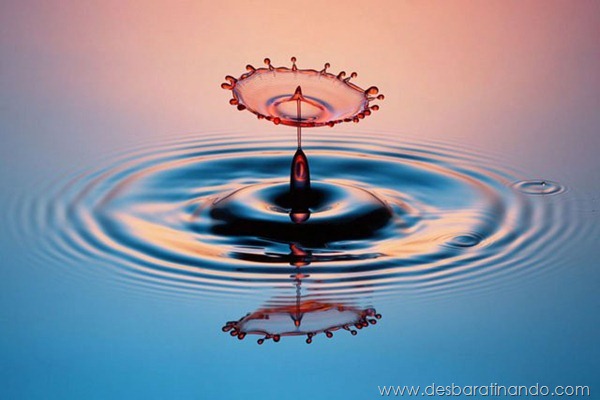 liquid-drop-art-gotas-caindo-foto-velocidade-hora-certa-desbaratinando (88)