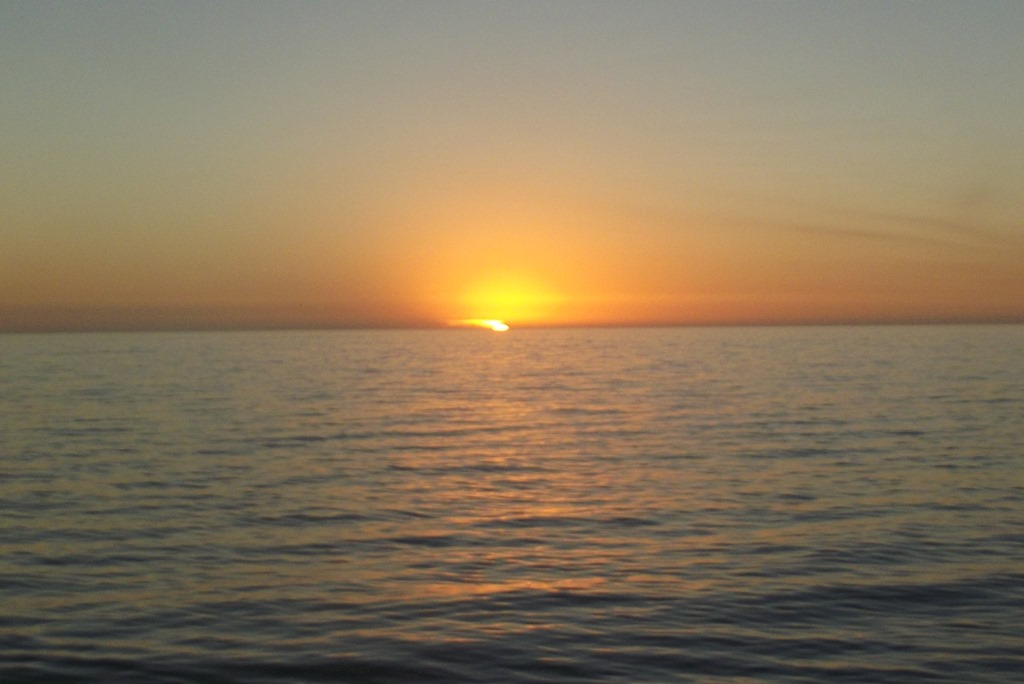 [DSCF7169.jpg]