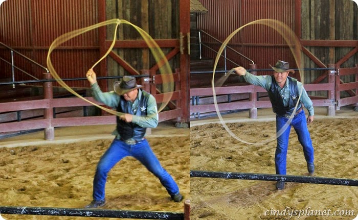 chok chai farm cowboy trick roper chok chai farm cowboy trick roper