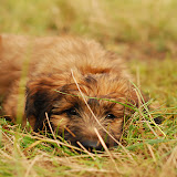 Abi - DSC_0210.JPG