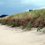 20100828_058_small.JPG