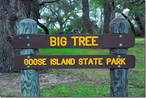 Big Tree Sign