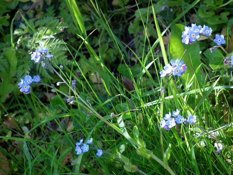 DSCF7960 DSCF7960