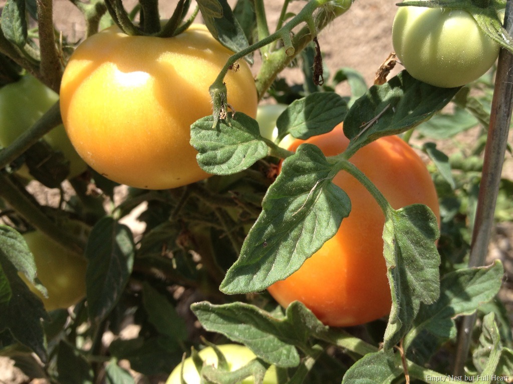 [photo-001%255B3%255D.jpg]