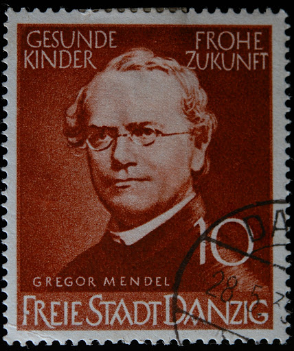 Gregor Mendel Stamp