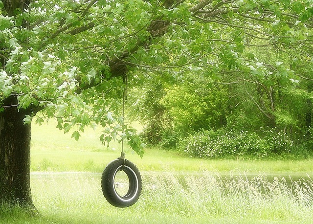 [tireswing%255B5%255D.jpg]