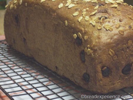 [cinnamon-raisin-oatmeal-bread-018%255B2%255D.jpg]