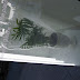R0028100.JPG