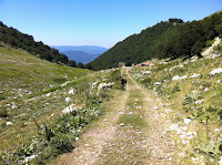 IMG_1532.JPG