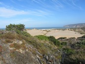 IMG_3095 IMG_3095