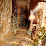 1481-8.JPG