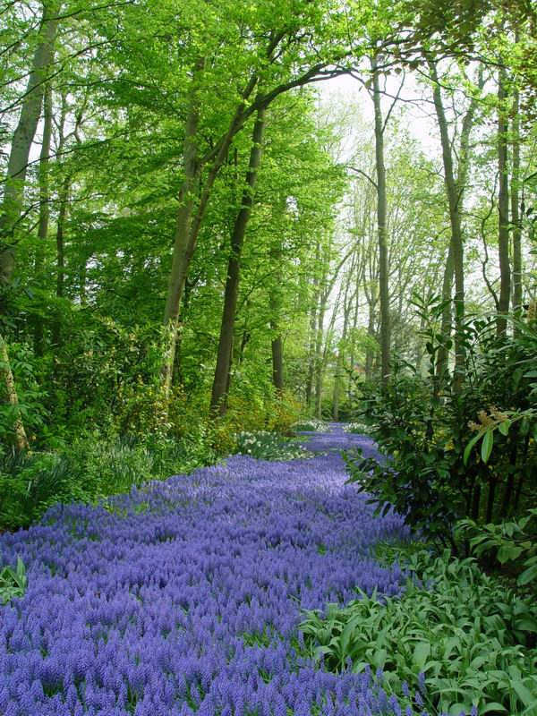 Image Dimension: 384x512 :: Beautiful Earth Beautiful Earth