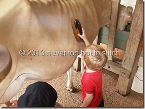 2012-12-30 Ben brushing the cow