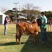 superleite2011_dia1507_113.JPG