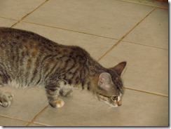 IMG_0665 IMG_0665