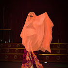 IMG_1385.JPG