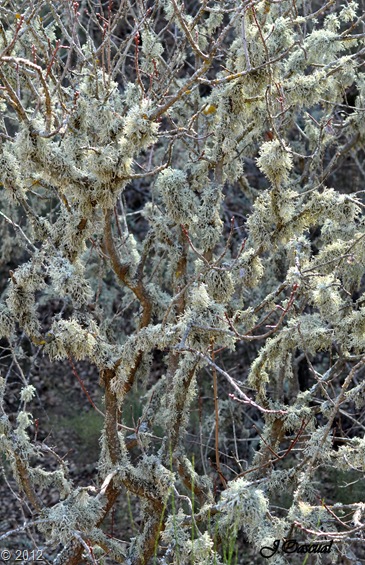 DSC_0331 DSC_0331