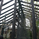 P1090614.JPG