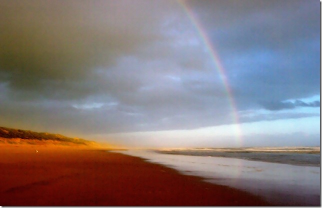 picturenaut32 photoreceptor_filtered-001 picturenaut32 photoreceptor_filtered-001