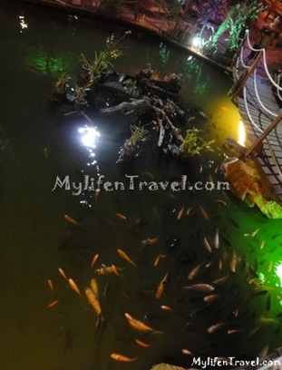 Mae Salong Restaurant 10 Mae Salong Restaurant 10