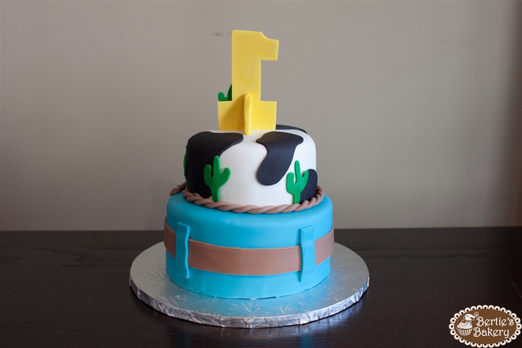 [Cowboy%2520Birthday%2520Cake-5%255B7%255D.jpg]