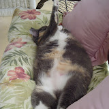 Grace cant quite seem to get comfortable.