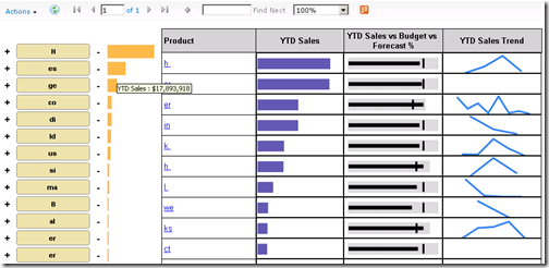 SSRS Report when previewed in SP