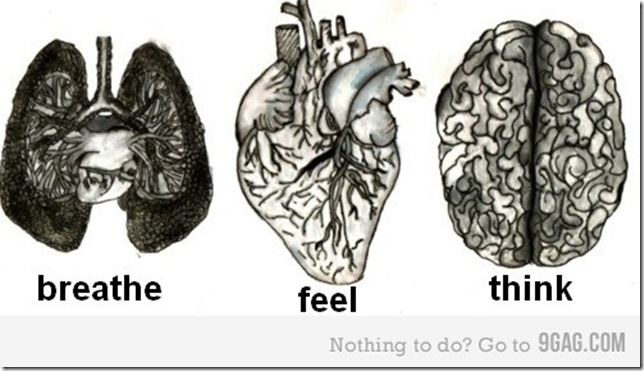 breathe, feel,think
