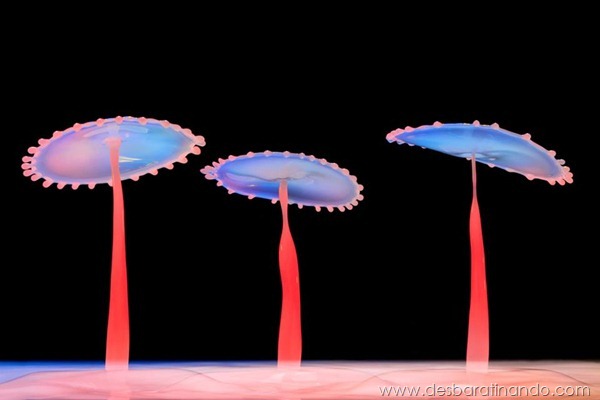 liquid-drop-art-gotas-caindo-foto-velocidade-hora-certa-desbaratinando (243) liquid-drop-art-gotas-caindo-foto-velocidade-hora-certa-desbaratinando (243)