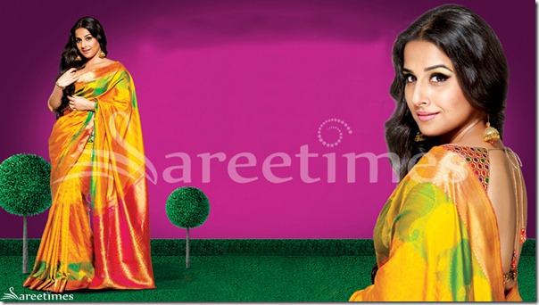 Vidya_Balan_Jolly_Silk_Saree Vidya_Balan_Jolly_Silk_Saree