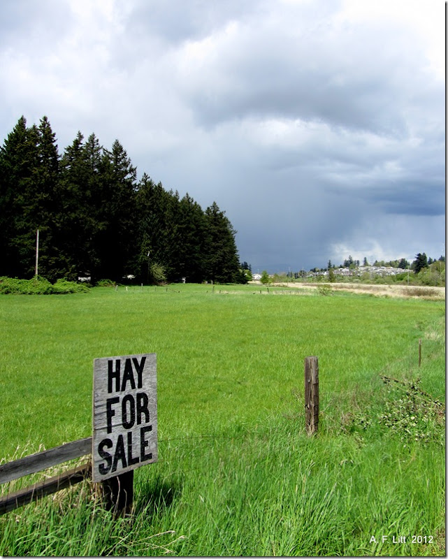 Hay For Sale. Gresham, Oregon. April 26, 2012. Photo of the Day by A. F. Litt: June 2, 2012. Hay For Sale. Gresham, Oregon. April 26, 2012. Photo of the Day by A. F. Litt: June 2, 2012.