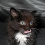 DSCN7724.jpg DSCN7724.jpg
