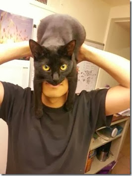 batman-cat-mask-1