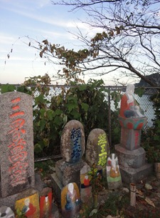 DSC00665 DSC00665