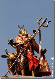 Shiva Shiva