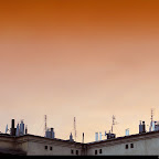 hpl_080524_7154_e2L.jpg
