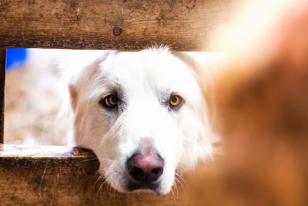 [IMG_0812%255B4%255D.jpg]