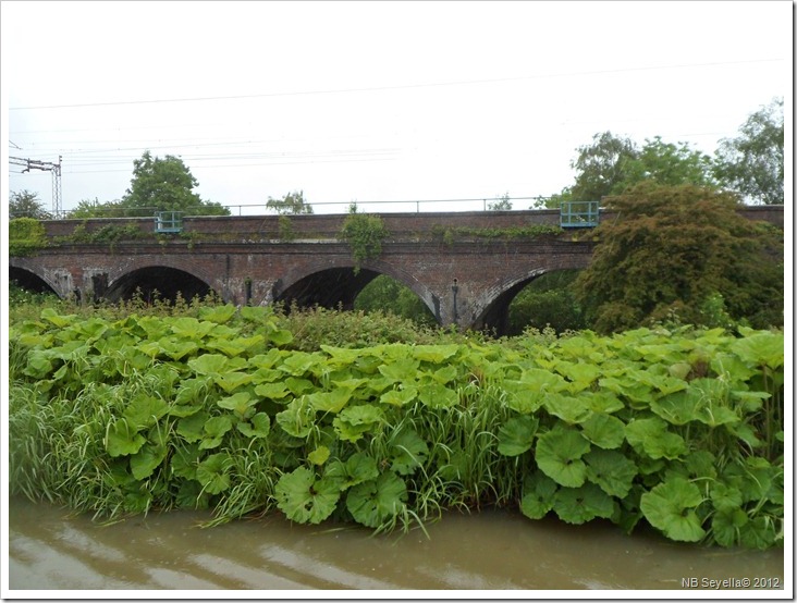 SAM_0760 Railway Arches at Hopsford