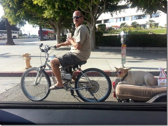 viral-picdump-pics-48