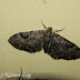 Dscn5362
