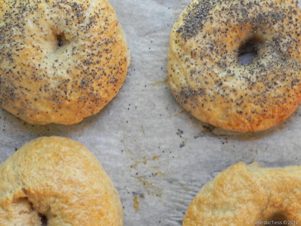 [DSCN0422%255B6%255D.jpg]