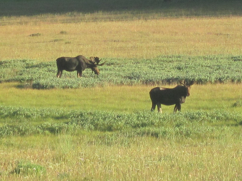 [IMG_1336%255B4%255D.jpg]