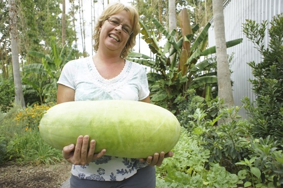 [Watermelon%2520Dee%255B3%255D.jpg]