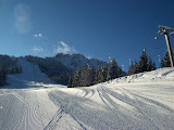20090215004.jpg