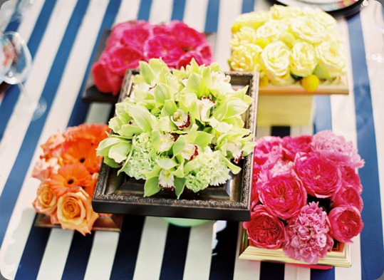 Pierrard_Lanik_AnneRobertPhotography_20110510MiddleburgFilmAnneRPhotog0040_0 holly chapple