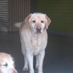 DSCN4753.jpg