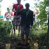 IMG_7330.jpg