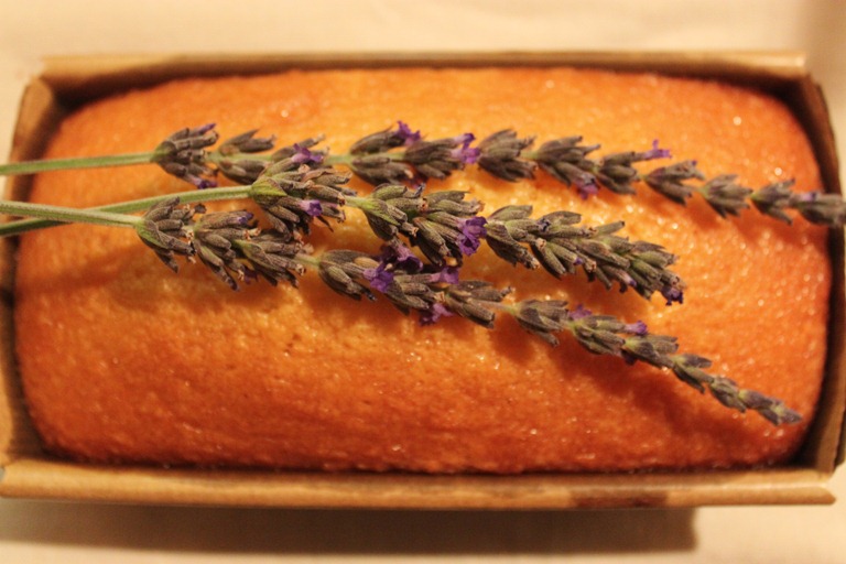 [IMG_7404%255B9%255D.jpg]